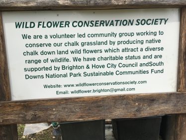 Wildflower Conservation Society Sign at Stanmer | Sue Craig